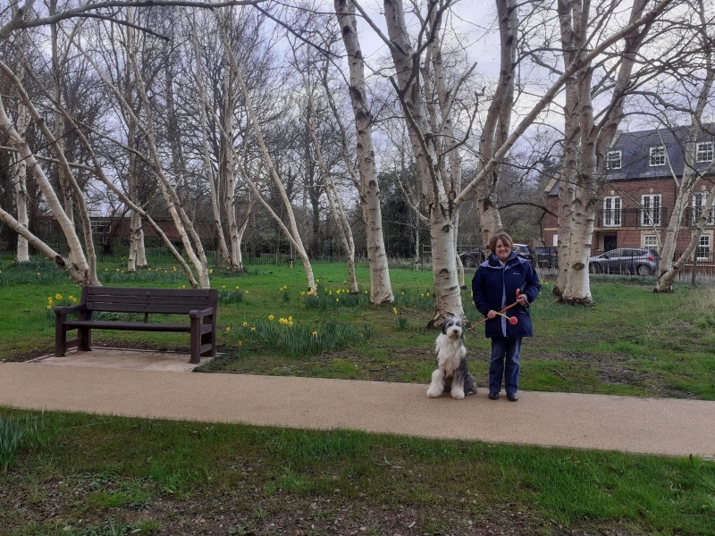 MVERA Millbrook Village Exeter Residents Association